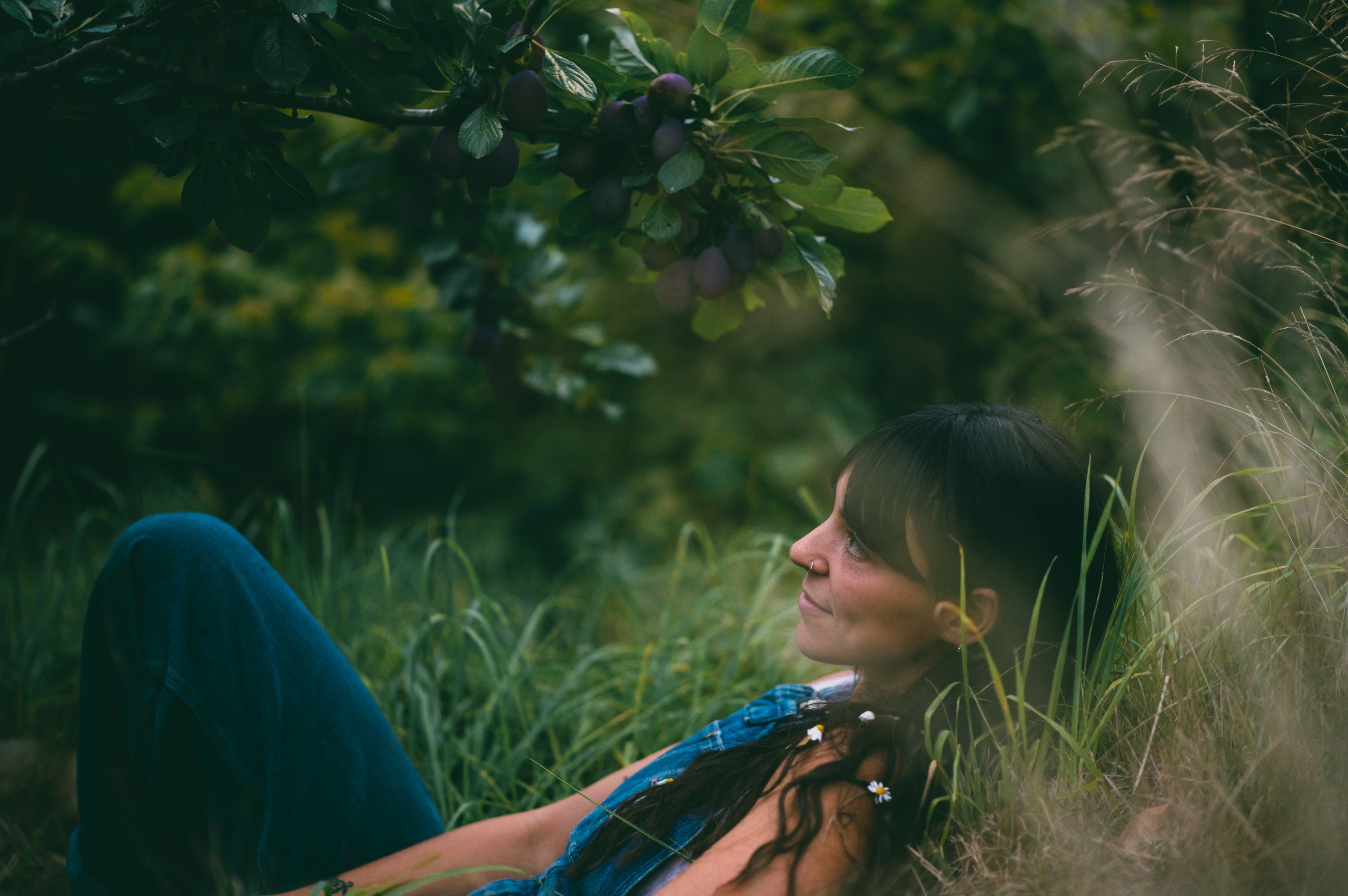 Repos sous le prunier