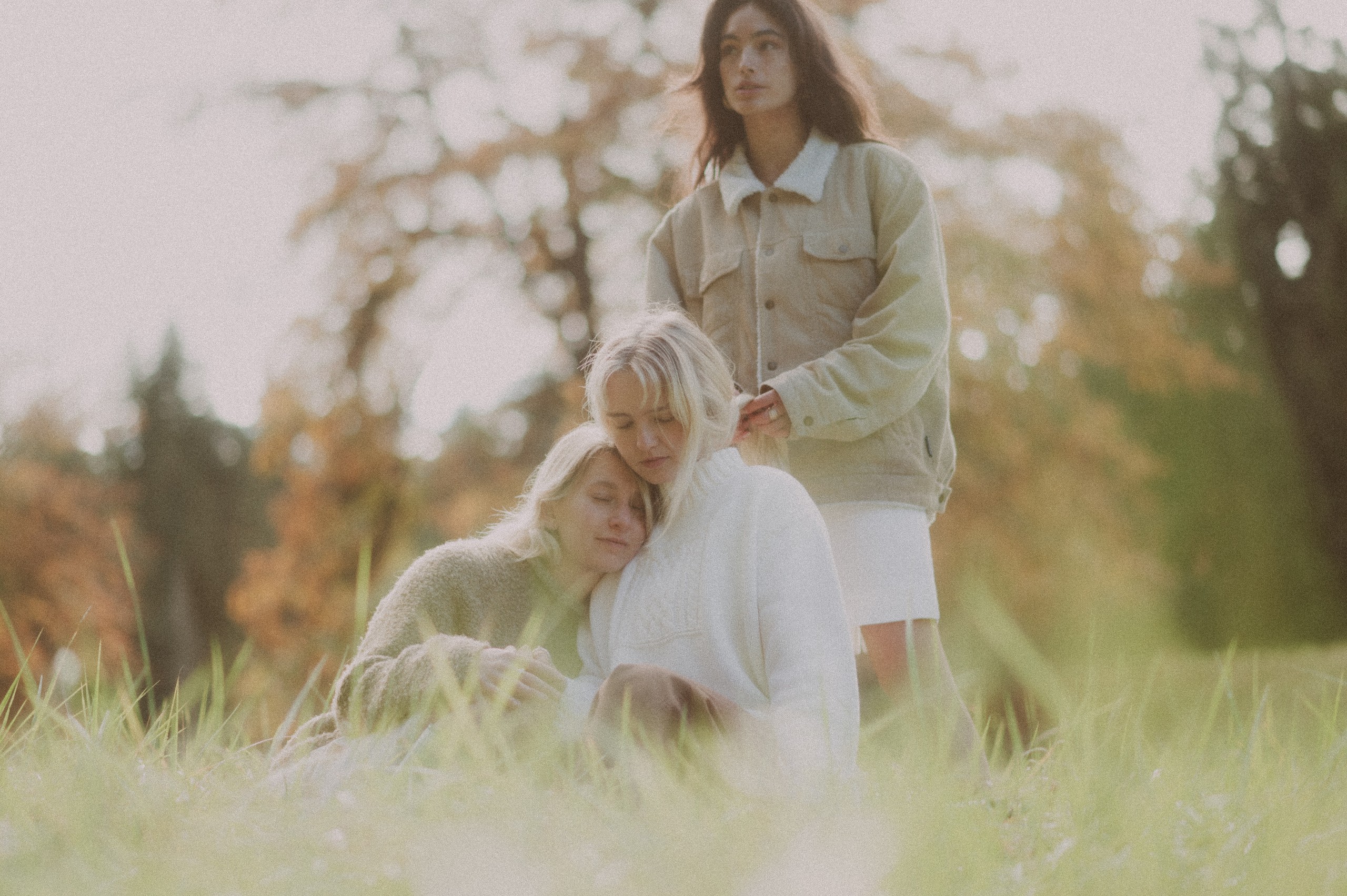 Trois amis dans une prairie
