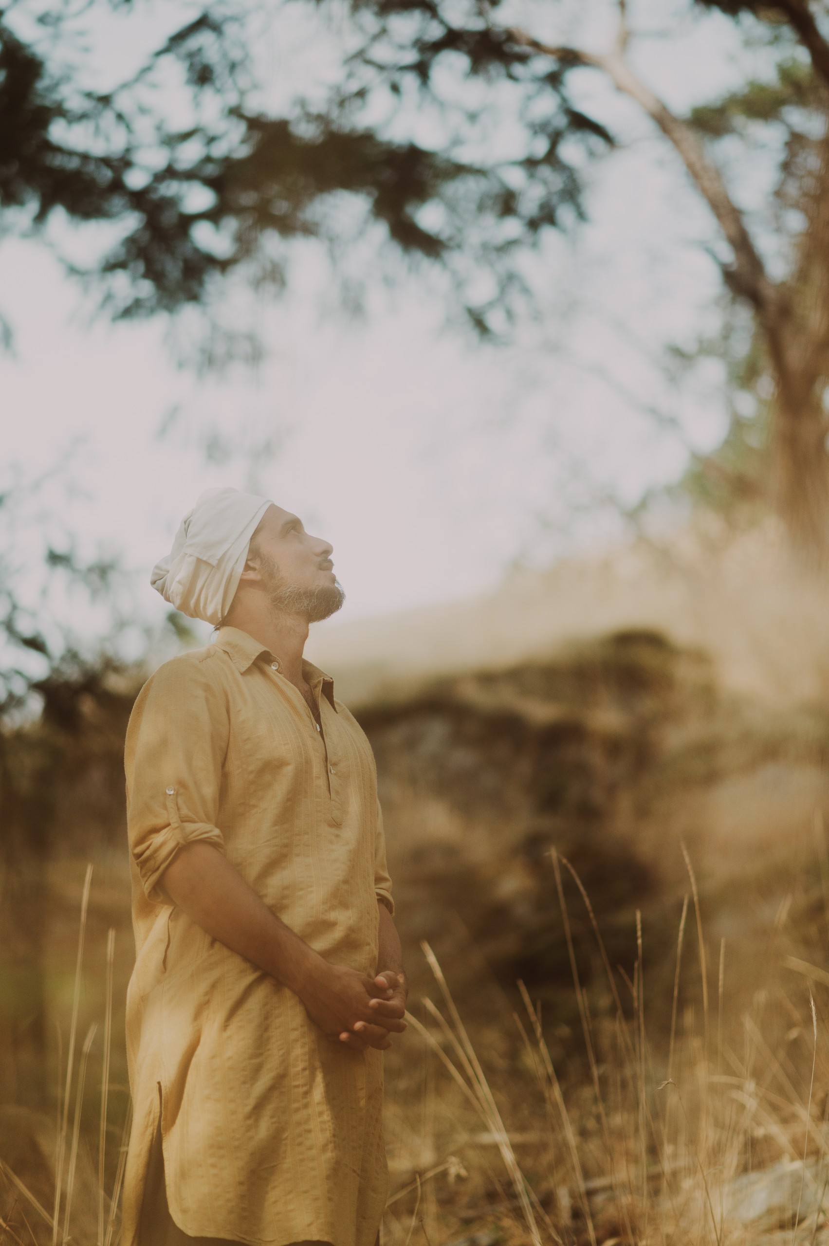 Portrait, herbe dorée