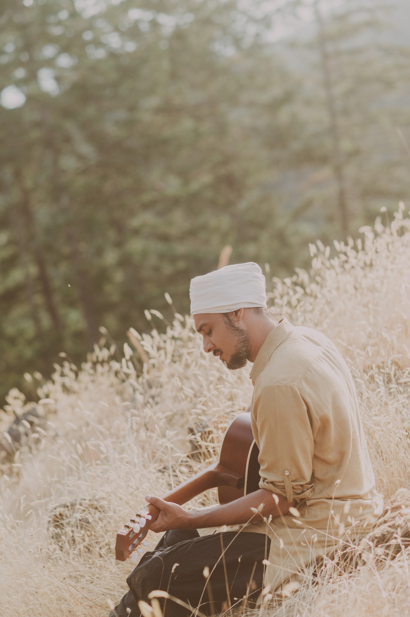 Musicien dans la prairie